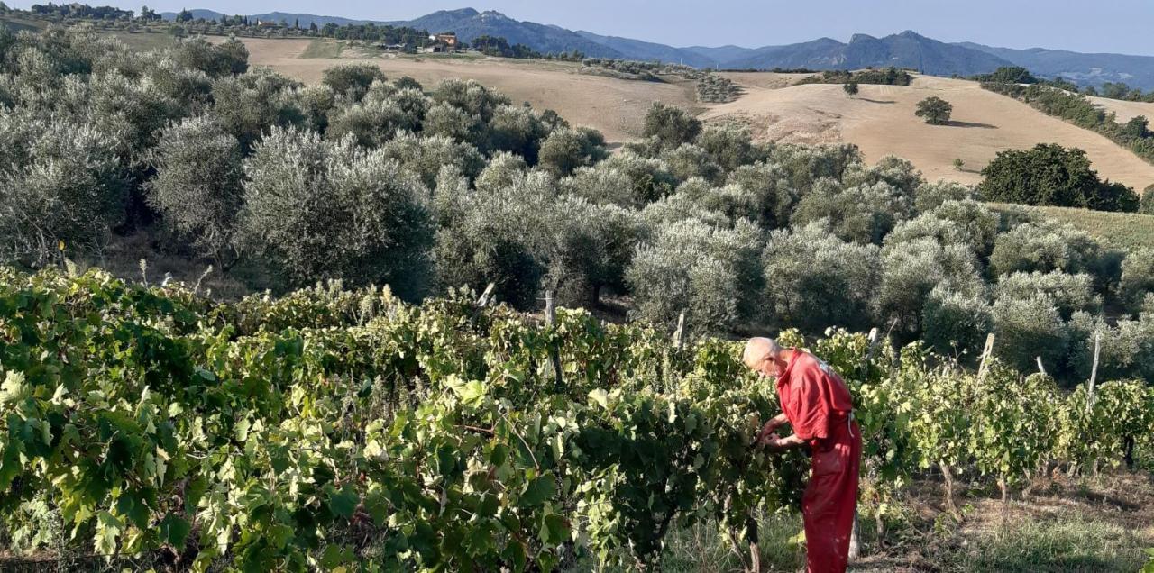 Agriturismo Santa Chiara Помаранче Экстерьер фото